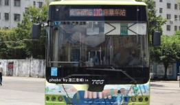 今日一线爆料湛江公交车,今日一线独家揭秘